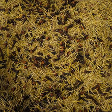 Load image into Gallery viewer, Rosemary & Clove Tea